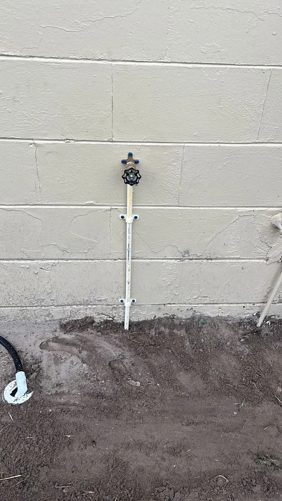 A white PVC pipe extends vertically from the dark brown soil, secured to a light-colored block wall with two blue clips, and topped with a spigot featuring a black handle and blue cap. A black hose with a white connector lies on the ground to the left.