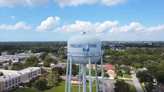 Why Pinellas Park Chooses CDS Service Co
