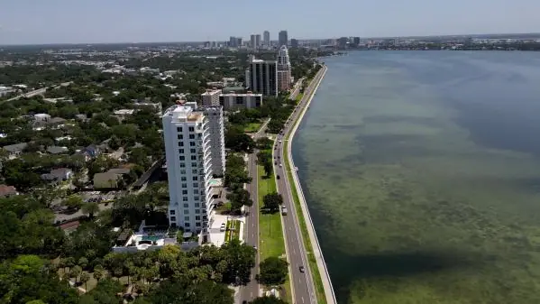 Bayshore Beautiful, Tampa FL
