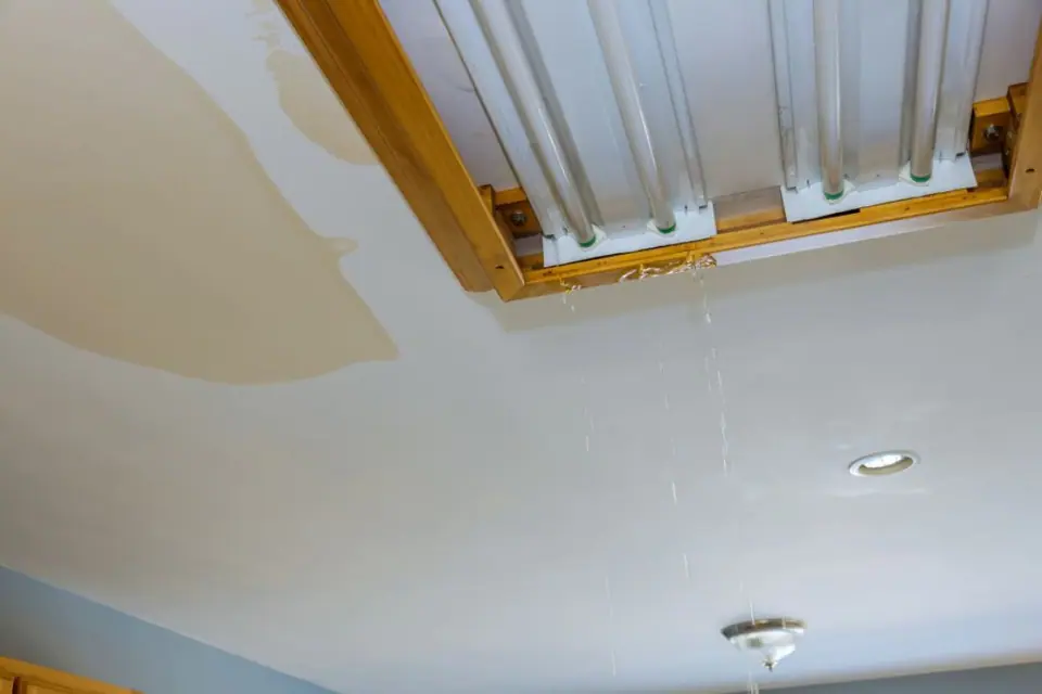 Emergency Plumbing in Balm