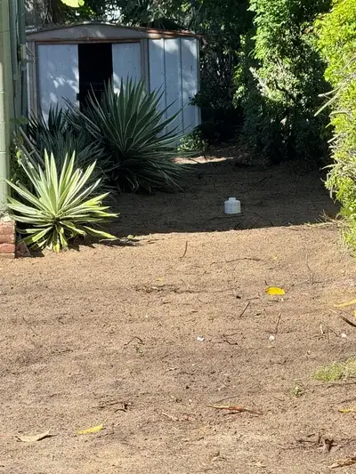 Sewer Cleanout