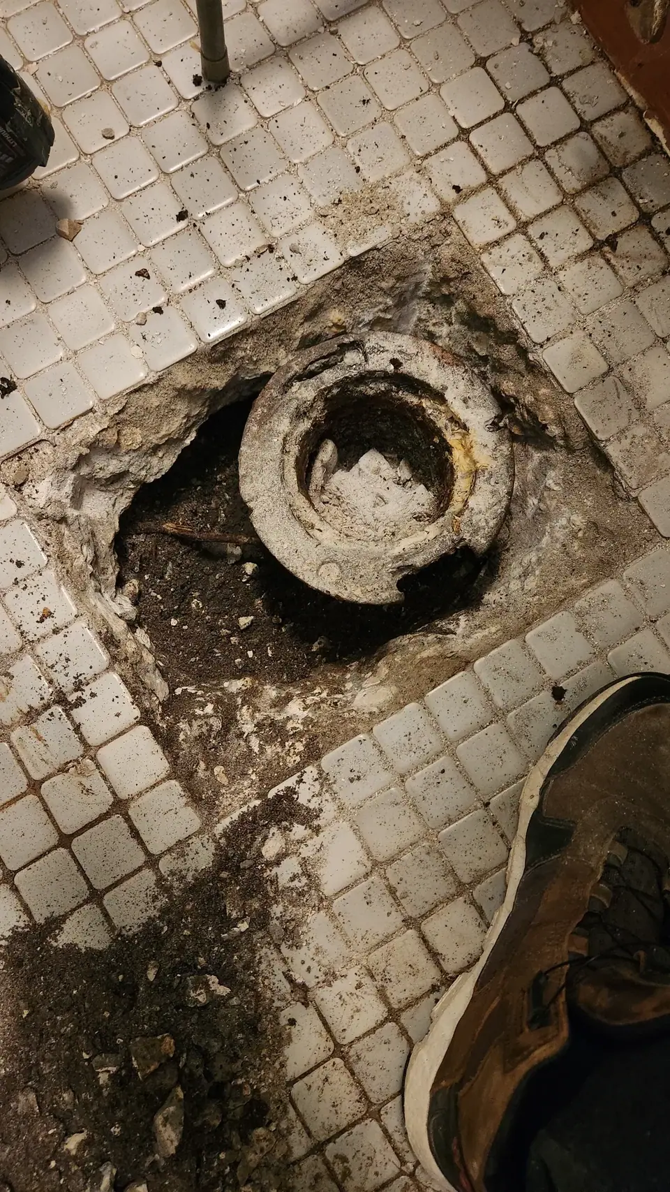 Toilet Replacement in Brandon